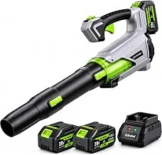 Adedad Akku-Laubbläser 21V mit 2x4,0-Ah-Akku
